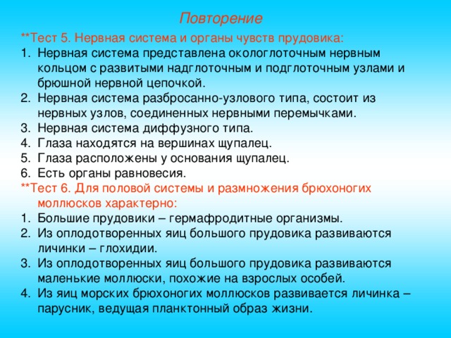 Повторение **Тест 5. Нервная система и органы чувств прудовика: Нервная система представлена окологлоточным нервным кольцом с развитыми надглоточным и подглоточным узлами и брюшной нервной цепочкой. Нервная система разбросанно-узлового типа, состоит из нервных узлов, соединенных нервными перемычками. Нервная система диффузного типа. Глаза находятся на вершинах щупалец. Глаза расположены у основания щупалец. Есть органы равновесия. **Тест 6. Для половой системы и размножения брюхоногих моллюсков характерно: Большие прудовики – гермафродитные организмы. Из оплодотворенных яиц большого прудовика развиваются личинки – глохидии. Из оплодотворенных яиц большого прудовика развиваются маленькие моллюски, похожие на взрослых особей. Из яиц морских брюхоногих моллюсков развивается личинка – парусник, ведущая планктонный образ жизни. 