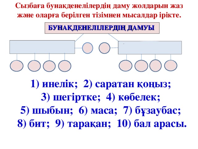 Тура даму және түрленіп даму презентация