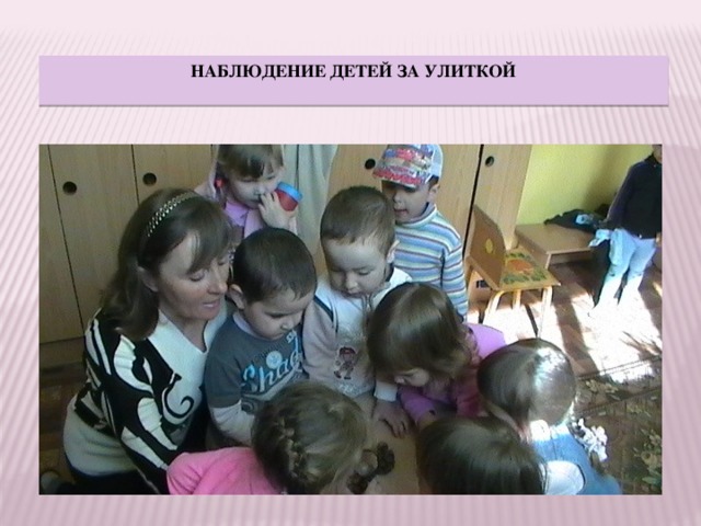 НАБЛЮДЕНИЕ ДЕТЕЙ ЗА УЛИТКОЙ 