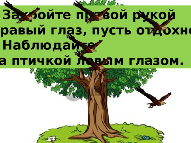 * Закройте правой рукой правый глаз, пусть отдохнет. * Наблюдайте за птичкой левым глазом. 
