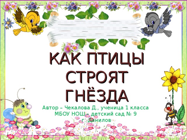 КАК ПТИЦЫ СТРОЯТ ГНЁЗДА  Автор – Чекалова Д., ученица 1 класса  МБОУ НОШ – детский сад № 9  г. Данилов