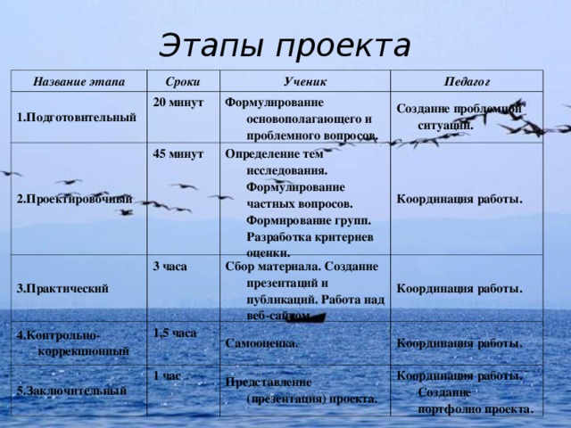 Этапы проекта Название этапа Сроки 1.Подготовительный Ученик 20 минут 2.Проектировочный Педагог Формулирование основополагающего и проблемного вопросов. 45 минут 3.Практический 3 часа Создание проблемной ситуации. Определение тем исследования. Формулирование частных вопросов. Формирование групп. Разработка критериев оценки. 4.Контрольно-коррекционный 5.Заключительный 1,5 часа Координация работы. Сбор материала. Создание презентаций и публикаций. Работа над веб-сайтом. Координация работы. Самооценка. 1 час Координация работы. Представление (презентация) проекта. Координация работы. Создание портфолио проекта.