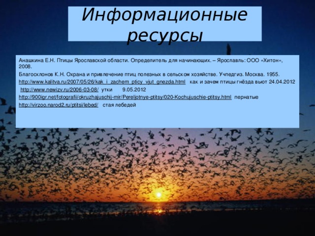 Информационные ресурсы Анашкина Е.Н. Птицы Ярославской области. Определитель для начинающих. – Ярославль: ООО «Хитон», 2008. Благосклонов К.Н. Охрана и привлечение птиц полезных в сельском хозяйстве. Учпедгиз. Москва. 1955. http://www.kalitva.ru/2007/05/26/kak_i_zachem_pticy_vjut_gnezda.html как и зачем птицы гнёзда вьют 24.04.2012  http://www.newizv.ru/2006-03-08/ утки 9.05.2012 http://900igr.net/fotografii/okruzhajuschij-mir/Pereljotnye-ptitsy/020-Kochujuschie-ptitsy.html пернатые http://virzoo.narod2.ru/ptitsi/lebed/ стая лебедей