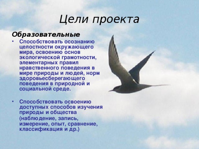 Цели проекта Образовательные Способствовать осознанию целостности окружающего мира, освоению основ экологической грамотности, элементарных правил нравственного поведения в мире природы и людей, норм здоровьесберегающего поведения в природной и социальной среде.