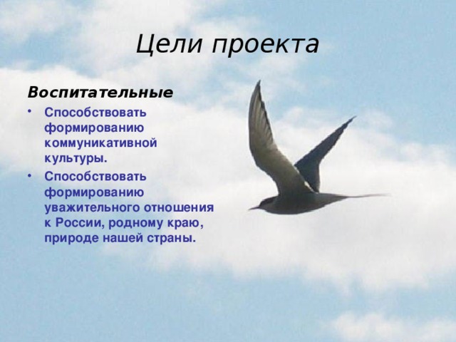 Цели проекта Воспитательные