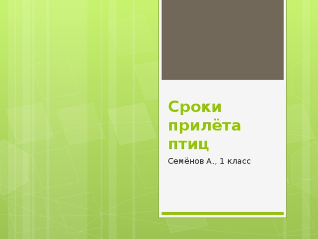 Сроки прилёта птиц Семёнов А., 1 класс