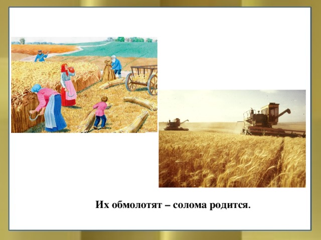 Их обмолотят – солома родится . 