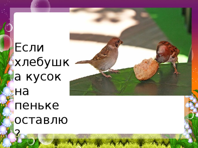   Если хлебушка кусок на пеньке оставлю? 