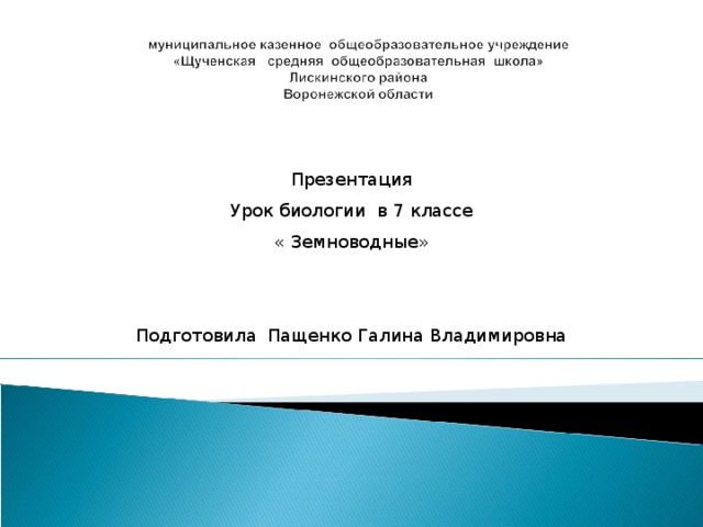 Презентация Урок биологии в 7 классе « Земноводные» Подготовила Пащенко Галина Владимировна 