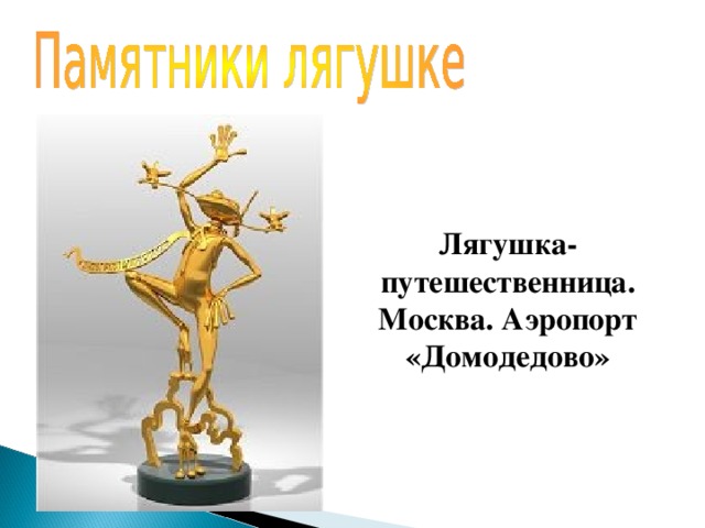 Лягушка-путешественница. Москва. Аэропорт «Домодедово» 