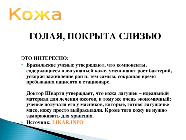 ГОЛАЯ, ПОКРЫТА СЛИЗЬЮ ЭТО ИНТЕРЕСНО: Бразильские ученые утверждают, что компоненты, содержащиеся в лягушачьей коже, уменьшают рост бактерий, ускоряя заживление ран и, тем самым, сокращая время пребывания пациента в стационаре.   Доктор Швартц утверждает, что кожа лягушек – идеальный материал для лечения ожогов, к тому же очень экономичный: ученые получали его у мясников, которые, готовя лягушачье мясо, кожу просто выбрасывали. Кроме того кожу не нужно замораживать для хранения. Источник: LIKAR.INFO 