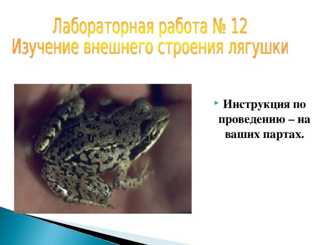 Инструкция по проведению – на ваших партах. 