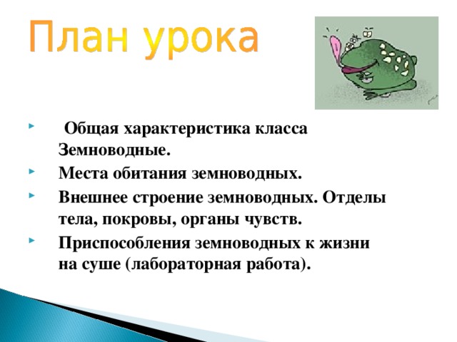 Общая характеристика класса Земноводные. Места обитания земноводных. Внешнее строение земноводных. Отделы тела, покровы, органы чувств. Приспособления земноводных к жизни на суше (лабораторная работа). 