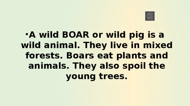 A wild BOAR or wild pig is a wild animal. They live in mixed forests. Boars eat plants and animals. They also spoil the young trees. 