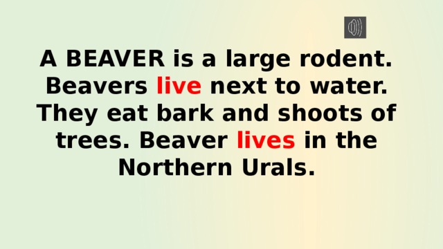 A BEAVER is a large rodent. Beavers live next to water. They eat bark and shoots of trees. Beaver lives in the Northern Urals. 