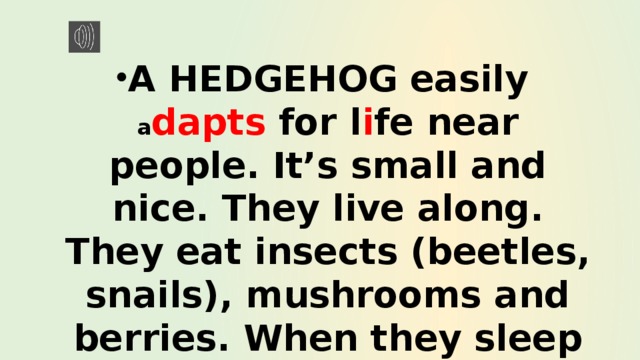 A HEDGEHOG easily a dapts for l i fe near people. It’s small and nice. They live along. They eat insects (beetles, snails), mushrooms and berries. When they sleep they fold into a tangle. 