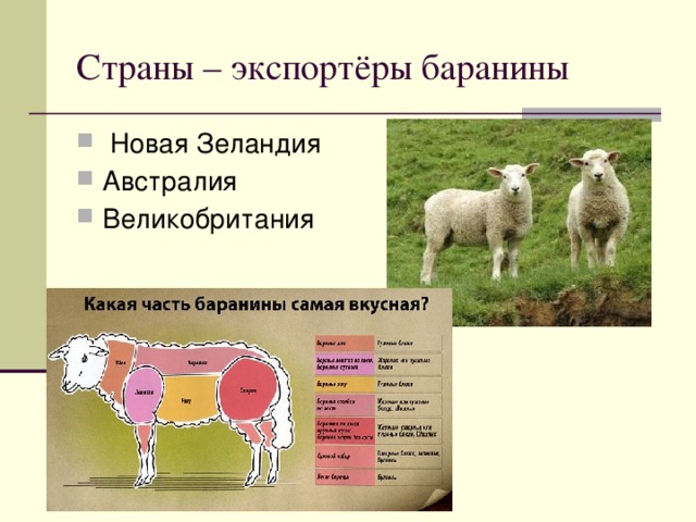 Страны лидеры по овцеводству. Страны Лидеры по экспорту баранины. Главные страны экспортеры баранины и ягнятины. Страны экспортеры баранины. Лидеры по экспорту баранины.