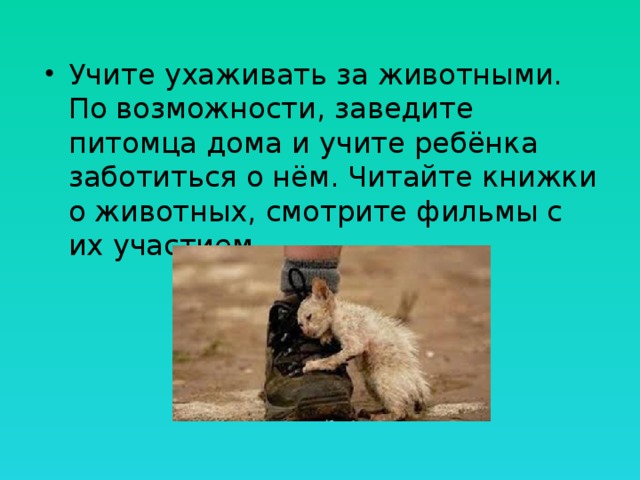 Учите ухаживать за животными. По возможности, заведите питомца дома и учите ребёнка заботиться о нём. Читайте книжки о животных, смотрите фильмы с их участием. 