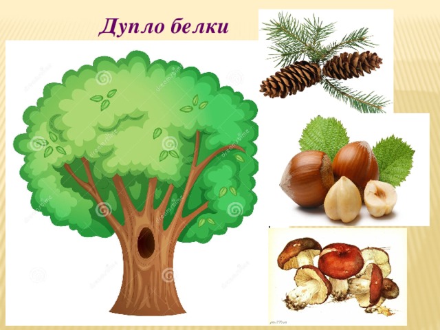 Дупло белки заменить словосочетание по образцу