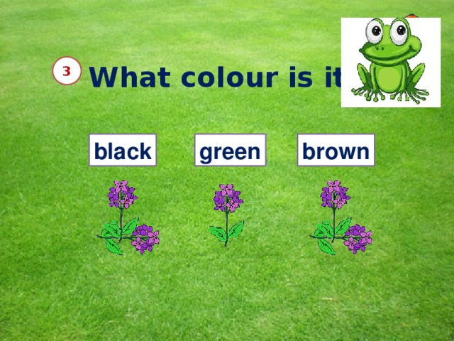 What colour is it? 3 black green brown 10 