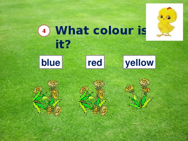 What colour is it? 4 blue red yellow 10 