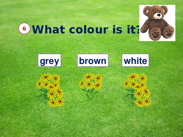What colour is it? 6 grey brown white 10 