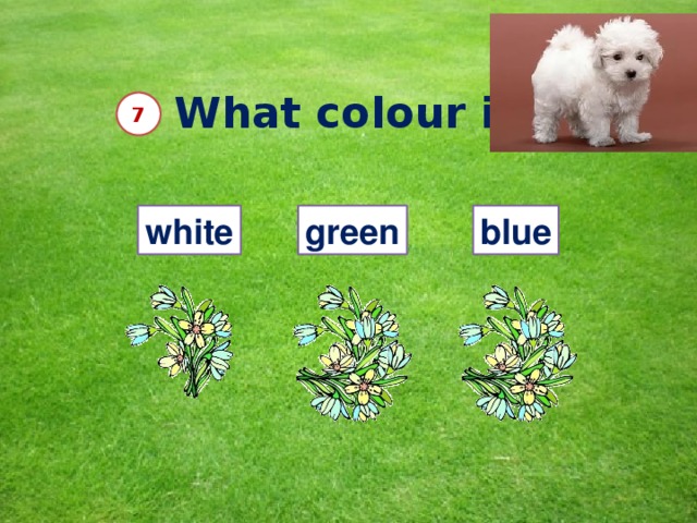 What colour is it?  7 white green blue 10 