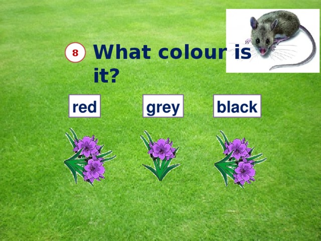 What colour is it?  8 red grey black 10 