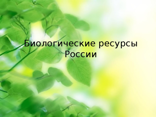 Биологические ресурсы России 