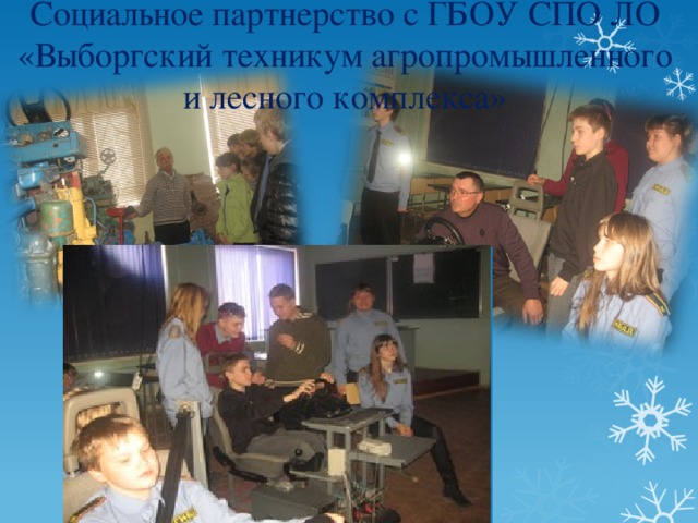 Социальное партнерство с ГБОУ СПО ЛО «Выборгский техникум агропромышленного и лесного комплекса» 