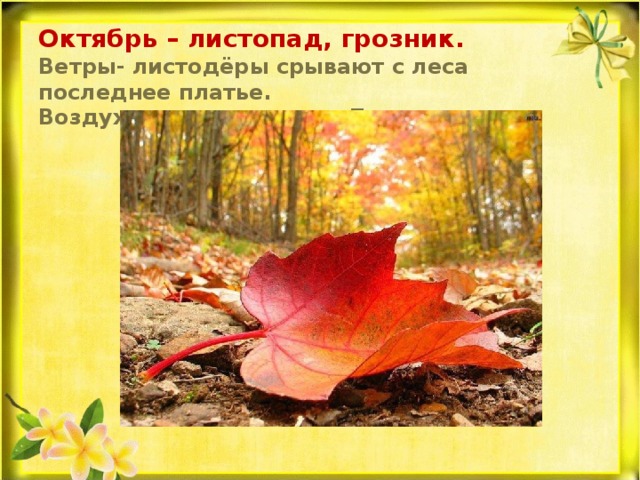 Октябрь – листопад, грозник.  Ветры- листодёры срывают с леса последнее платье.  Воздух совсем опустел. Дождь… 