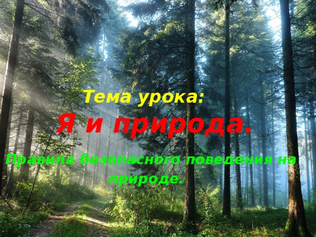 Тема урока:   Я и природа.   Правила безопасного поведения на природе. 
