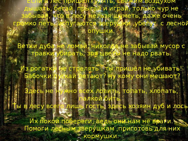 Если в лес пришел гулять, свежим воздухом дышать, бегай, прыгай и играй, только чур не забывай, что в лесу нельзя шуметь, даже очень громко петь, испугаются зверушки ,убегут с лесной опушки.   Ветки дуба не ломай, никогда не забывай мусор с травки убирать, зря цветы не надо рвать.   Из рогатки не стрелять : ты пришёл не убивать!  Бабочки пускай летают? ну кому они мешают?   Здесь не нужно всех ловить, топать, хлопать, палкой бить.  Ты в лесу всего лишь гость, здесь хозяин дуб и лось.   Их покой побереги, ведь они нам не враги.  Помоги лесным зверушкам ,приготовь для них кормушки.   