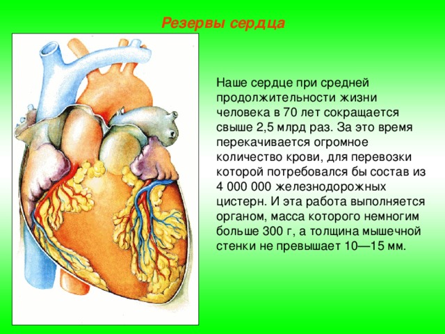сердечно-сосудистой системы Конференции