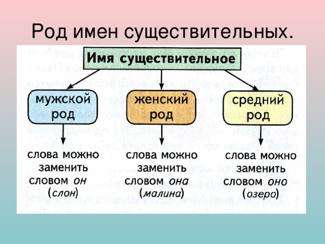 Род имен существительных. 