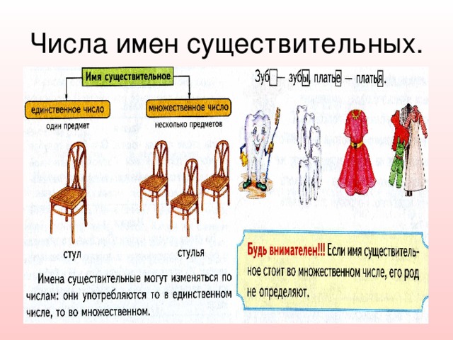 Числа имен существительных. 