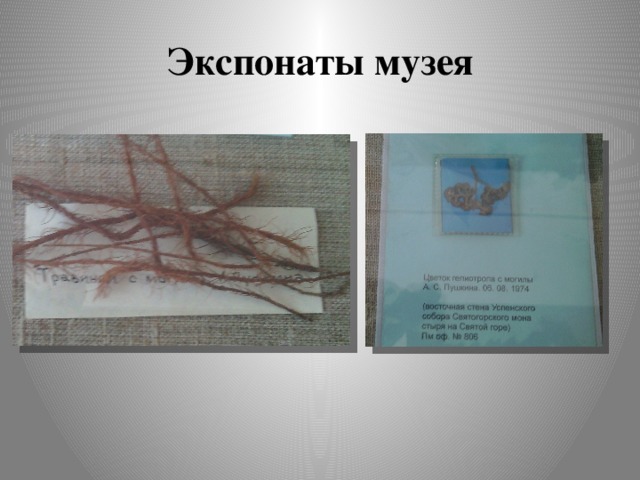 Экспонаты музея