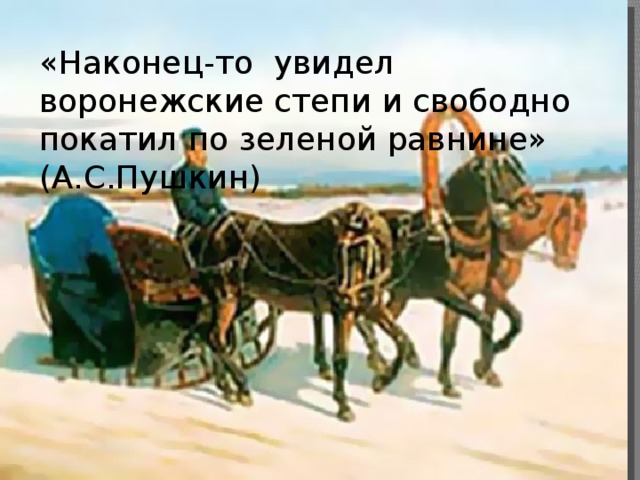 «Наконец-то увидел воронежские степи и свободно покатил по зеленой равнине» (А.С.Пушкин)