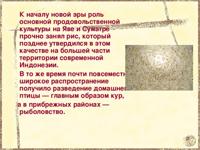 К началу новой эры роль основной продовольственной культуры на Яве и Суматре прочно занял рис, который позднее утвердился в этом качестве на большей части территории современной Индонезии.  В то же время почти повсеместно широкое распространение получило разведение домашней птицы — главным образом кур,  а в прибрежных районах — рыболовство.