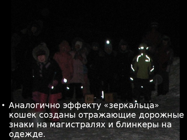 Аналогично эффекту «зеркальца» кошек созданы отражающие дорожные знаки на магистралях и блинкеры на одежде.  