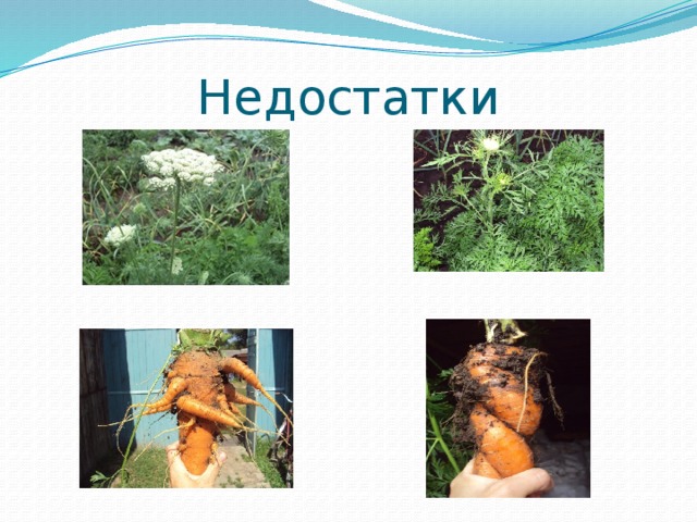 Недостатки 
