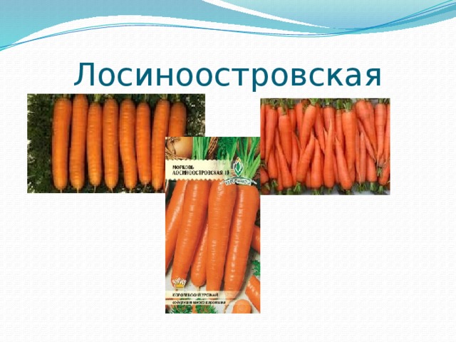 Лосиноостровская 