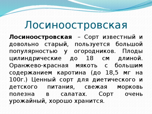 Лосиноостровская Лосиноостровская  – Сорт известный и довольно старый, пользуется большой популярностью у огородников. Плоды цилиндрические до 18 см длиной. Оранжево-красная мякоть с большим содержанием каротина (до 18,5 мг на 100г.) Ценный сорт для диетического и детского питания, свежая морковь полезна в салатах. Сорт очень урожайный, хорошо хранится. 