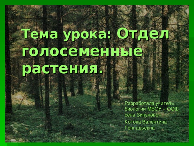 Тема урока: Отдел голосеменные растения. Разработала учитель биологии МБОУ « ООШ села Зипуново» Котова Валентина Геннадьевна 