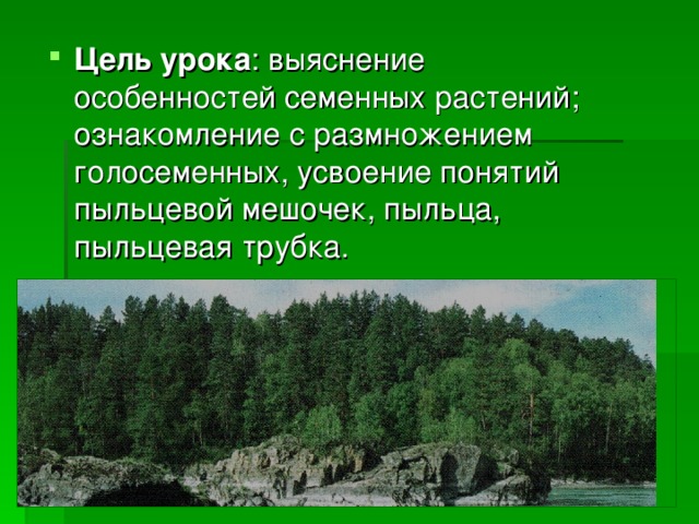 Цель урока 