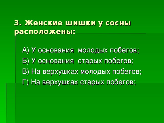 3. Женские шишки у сосны расположены: 