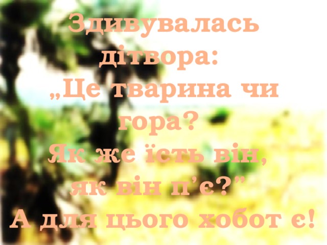 Здивувалась дітвора:  „Це тварина чи гора?  Як же їсть він, як він п’є?”  А для цього хобот є! 