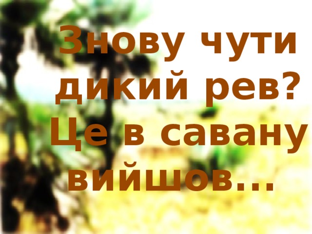 Знову чути дикий рев?  Це в савану вийшов...  