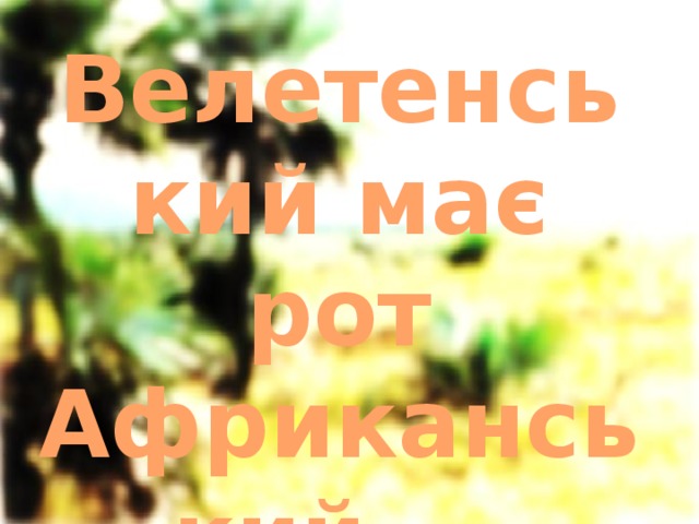 Велетенський має рот  Африканський...  