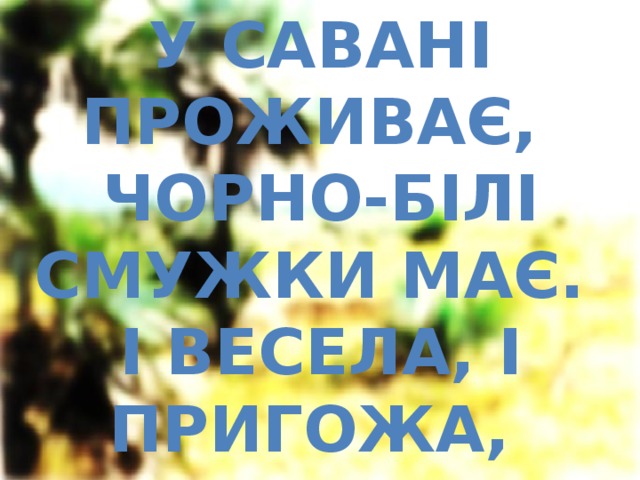 У савані проживає,  Чорно-білі смужки має.  І весела, і пригожа,  На конячку нашу схожа. 
